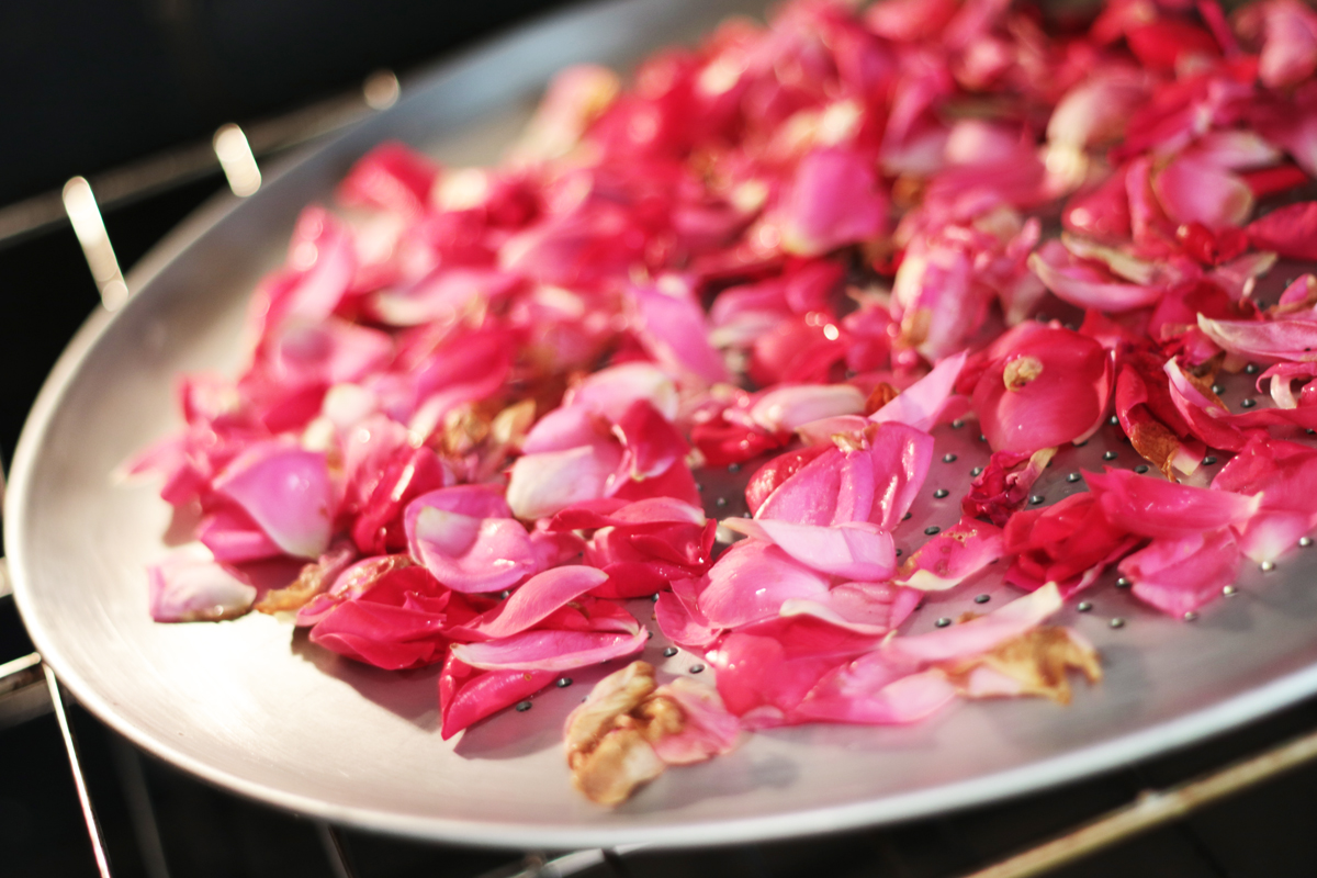 Drying Rose Petals 3 - Our Urban Farmstead
